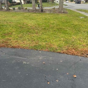 Leaf Removal by S&amp;S Landscaping reviewed on December 11, 2025