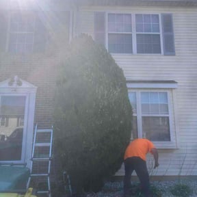 turf care by SJTO General LLC reviewed on August 7, 2025