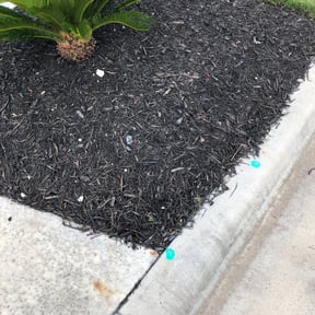 Flower Bed Weeding by Mikes Lawn Service reviewed on November 9, 2017