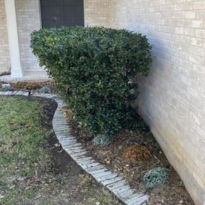 Bush Trimming by Easy n' green landscape reviewed on November 27, 2025