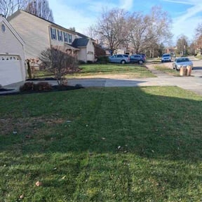 Leaf Removal by Delgado landscaping reviewed on December 25, 2025