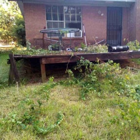 Bush Trimming by Veterans Pride Enterprises reviewed on December 2, 2025