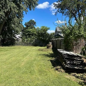 Bush Trimming by Gomez Property  Maintenance reviewed on May 18, 2022