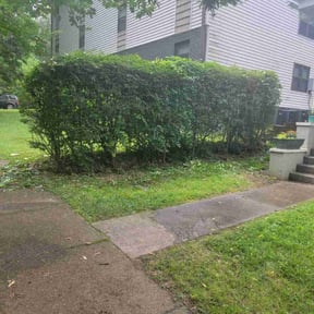 grass maintenance by D&amp;P Services reviewed on September 24, 2024