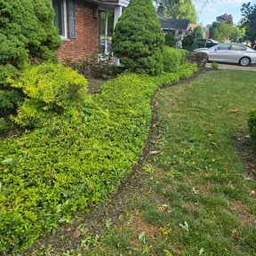 Flower Bed Weeding by Grass barbers lawn maintenance reviewed on June 24, 2026