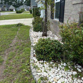 Bush Trimming by Acorn Lawn Care reviewed on August 20, 2025