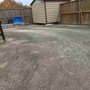 Leaf Removal by Countrygal cuts reviewed on December 25, 2025