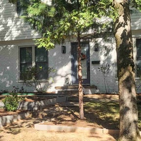 Leaf Removal by Charleston Green Team LLC. reviewed on August 21, 2025