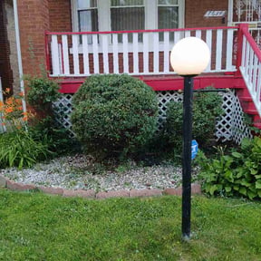 Bush Trimming by Handyman and Lawn care reviewed on June 14, 2026