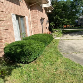 Bush Trimming by JW Lawn Care Service reviewed on August 16, 2025