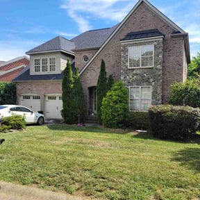 Bush Trimming by Cohen Lawn &amp; Landscaping reviewed on June 28, 2026