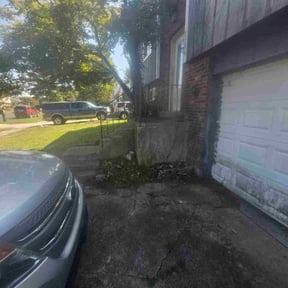 Bush Trimming by Make Your Lawn Shine reviewed on October 18, 2025