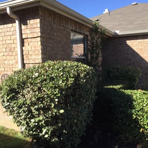 Bush Trimming by Smith landscaping reviewed on August 15, 2025