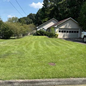 yard service by Basic lawn service reviewed on November 20, 2025