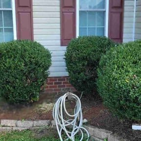 Bush Trimming by ZP&#039;s Lawn Care &amp; Landscaping LLC reviewed on May 2, 2024