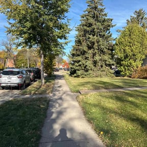 Leaf Removal by &quot;One Man Army&quot; Home Services reviewed on November 10, 2025