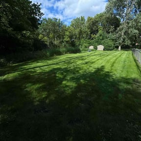 yard work by VonBerge Family Lawncare reviewed on July 3, 2025