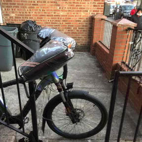 Leaf Removal by Sanders Maintenance Solutions reviewed on December 15, 2025