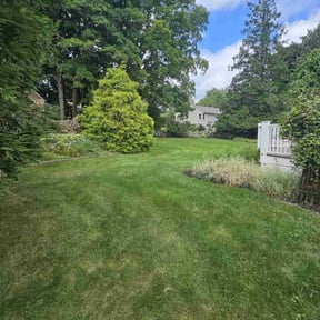 yard care by Hope Lawn Care reviewed on August 15, 2025