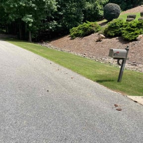 yard care by Loveladys Lawn Care reviewed on April 21, 2025