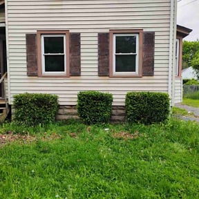 Bush Trimming by A Cut Above Lawn & Landscaping reviewed on August 17, 2025