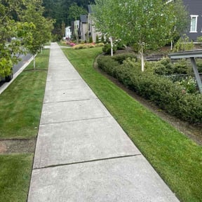 yard work by A&amp;C lawn care reviewed on November 19, 2025