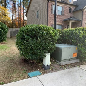 Bush Trimming by Cleaned by us reviewed on August 15, 2025