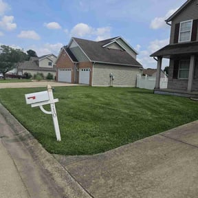 yard care by Dad's lawn care reviewed on July 30, 2025