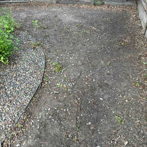 Leaf Removal by Hawkeye Turf Builders reviewed on July 29, 2026