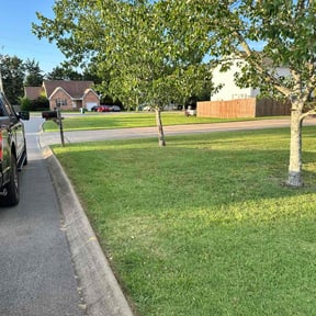 landscaping by MrGreenTrades LLC reviewed on August 15, 2025