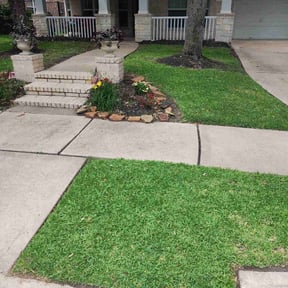 residential landscaping by L.L Services reviewed on August 20, 2025