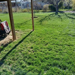 landscape maintenance by Roberto Pena reviewed on August 16, 2025
