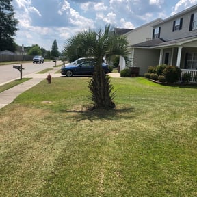 Bush Trimming by Loza Lawn & Home Services reviewed on August 20, 2025