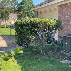 Bush Trimming by Cardinal lawn care and maintenance LLC reviewed on June 27, 2026