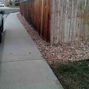 Leaf Removal by Converse Area Lawn Care reviewed on August 18, 2025