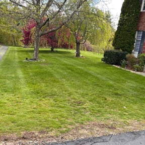 landscaping services by TSH Building Services LLC reviewed on August 15, 2025