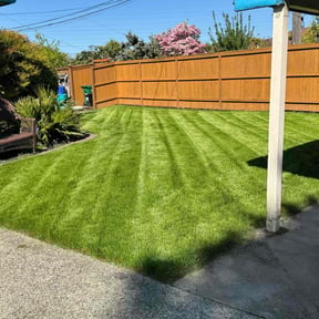 yard care by Shortys handyman lawn and snow removal reviewed on August 18, 2025