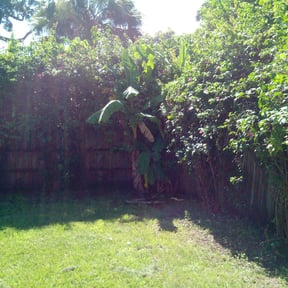 Bush Trimming by Hampton's Landscaping LLC reviewed on August 14, 2025