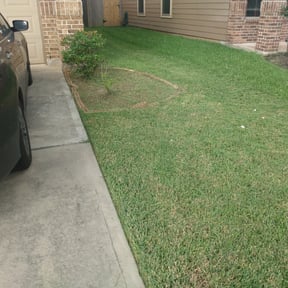Flower Bed Weeding by LuvYourLawn reviewed on August 17, 2025