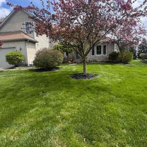 landscaping services by LOCAL Landscaping &amp; Lawn Maintenance reviewed on July 29, 2025