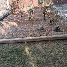 Flower Bed Weeding by Jose Landscaping. reviewed on October 19, 2025