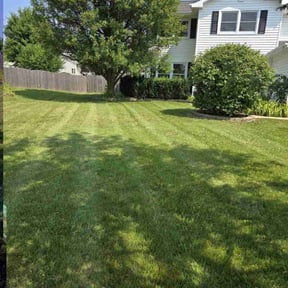 lawn care services by Los Sebas Lawnscap reviewed on June 11, 2025