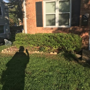 Bush Trimming by RWF lawn service reviewed on April 30, 2024