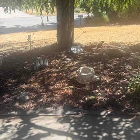 Flower Bed Weeding by Glendale Flowers Lawn Care reviewed on August 30, 2026