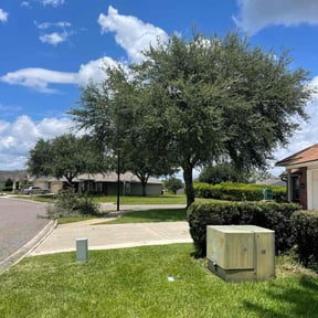 Tree Care by Grass Care By the Beach reviewed on August 21, 2025