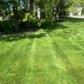 residential landscaping by Young's Lawn Care Services reviewed on August 17, 2025