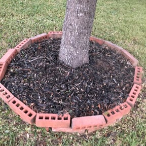 Flower Bed Weeding by Tidewater Lawn Solutions, LLC reviewed on August 18, 2025