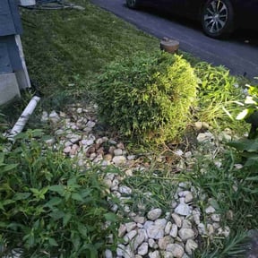 Bush Trimming by Walsh Landscape - Irrigation reviewed on August 16, 2025