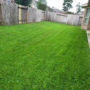 yard care by Ed Finegan Lawn Care reviewed on August 19, 2025