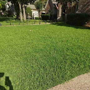 gardening service by Neptune Flo reviewed on October 21, 2025